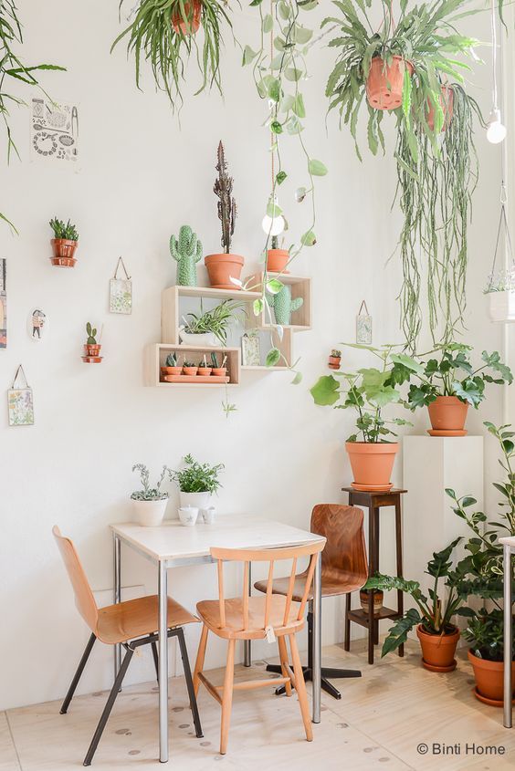 10 Small Space House Plant Display Ideas | Jethro Seymour, Top Toronto Real Estate Broker