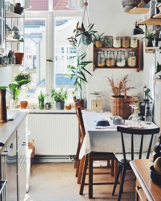 10 Small Space House Plant Display Ideas | Jethro Seymour, Top Toronto Real Estate Broker