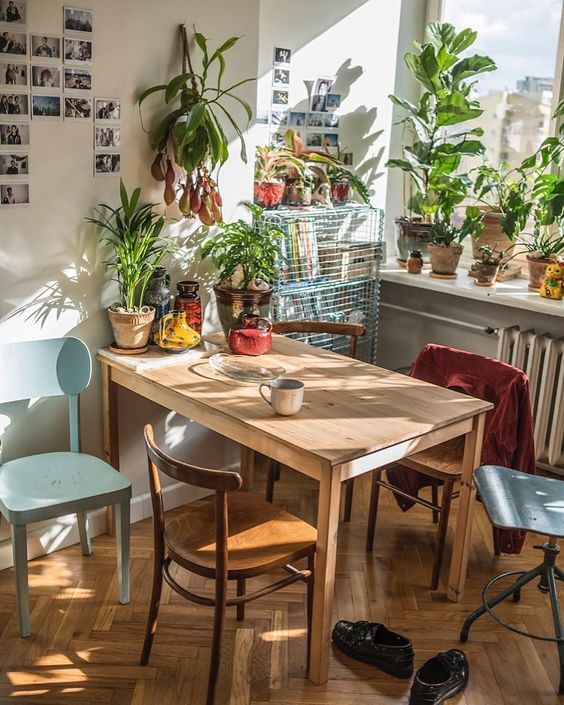 10 Small Space House Plant Display Ideas | Jethro Seymour, Top Toronto Real Estate Broker