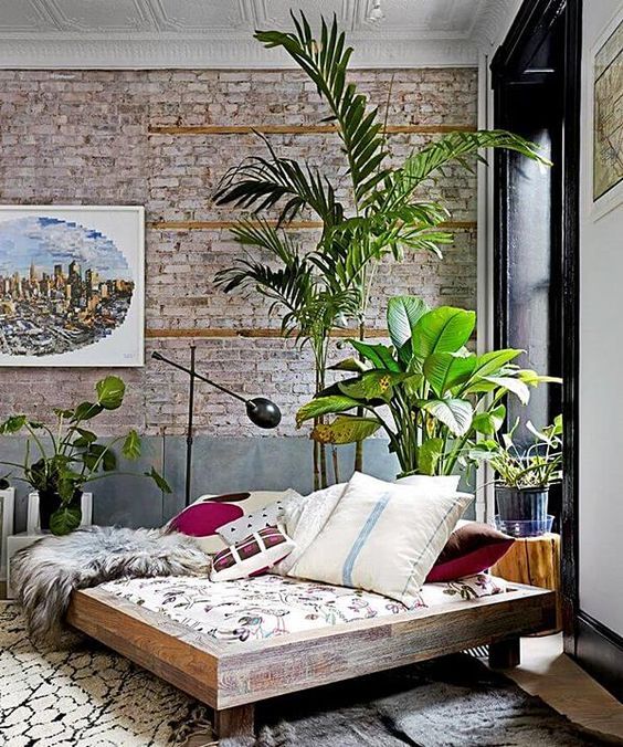 10 Small Space House Plant Display Ideas | Jethro Seymour, Top Toronto Real Estate Broker