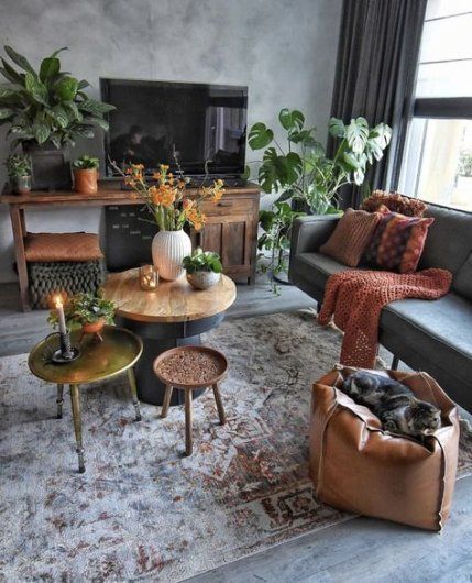 10 Small Space House Plant Display Ideas | Jethro Seymour, Top Toronto Real Estate Broker