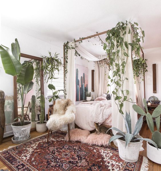 10 Small Space House Plant Display Ideas | Jethro Seymour, Top Toronto Real Estate Broker