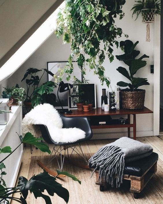 10 Small Space House Plant Display Ideas | Jethro Seymour, Top Toronto Real Estate Broker