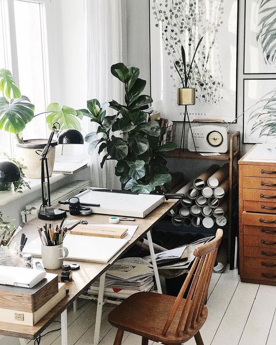 10 Small Space House Plant Display Ideas | Jethro Seymour, Top Toronto Real Estate Broker