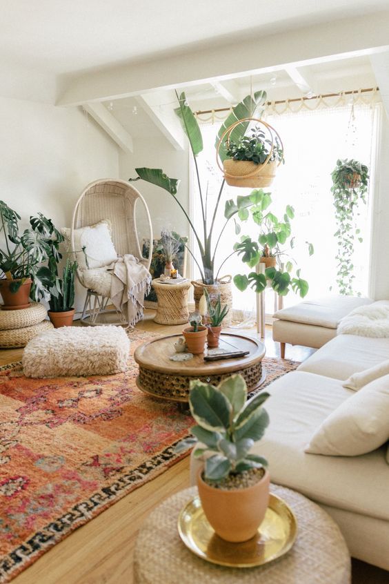 10 Small Space House Plant Display Ideas | Jethro Seymour, Top Toronto Real Estate Broker