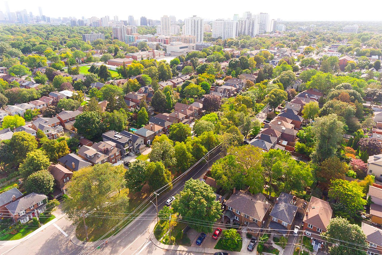 11 Reasons to Love Living in Davisville