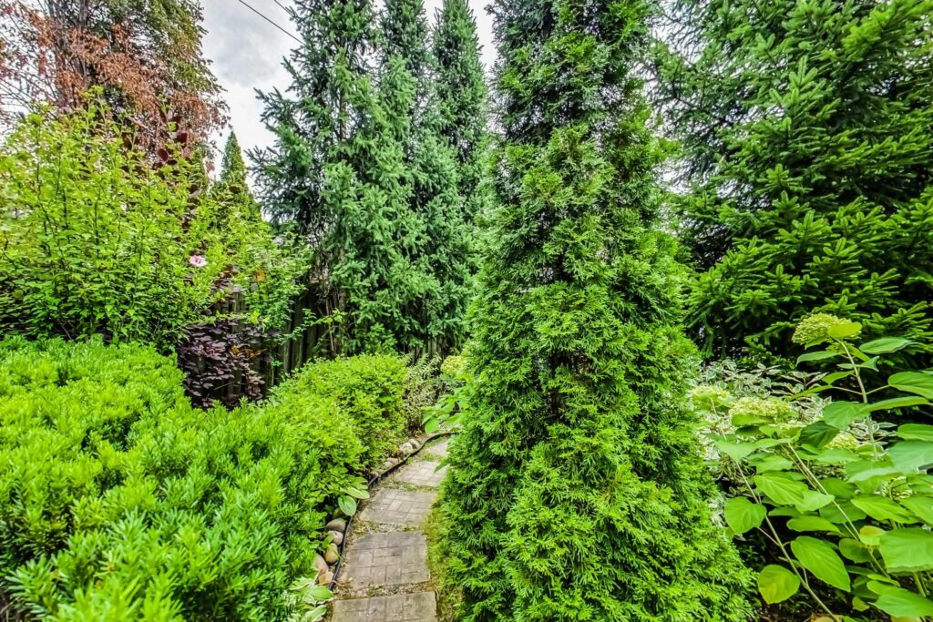 Photo of 22 Hadley Road
