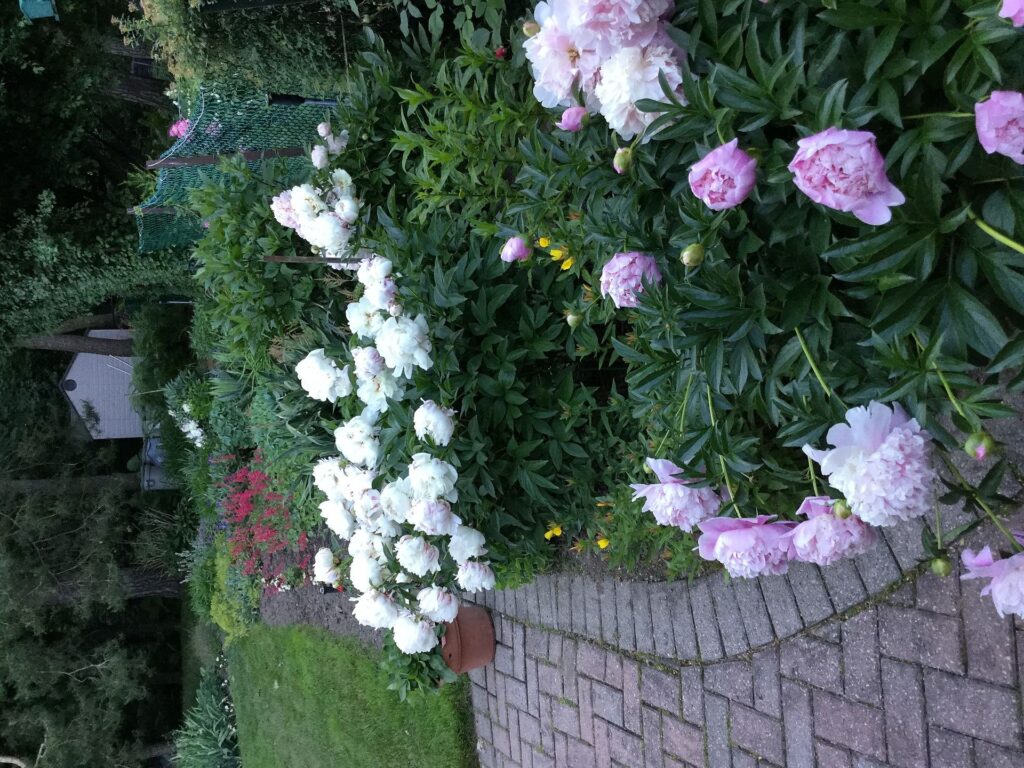 Photo of 8 Rykert Crescent