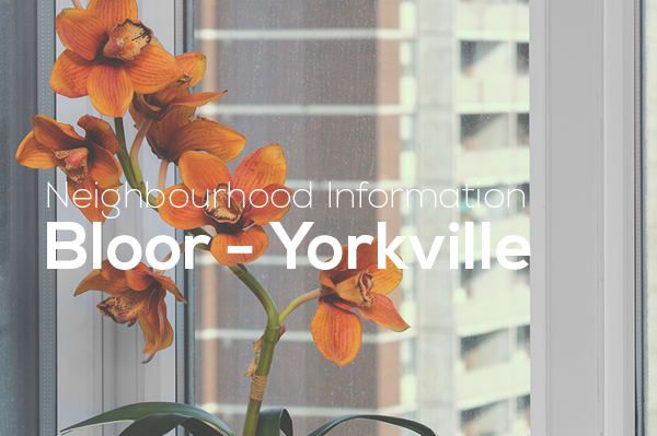 Neighbourhood Information: Bloor-Yorkville