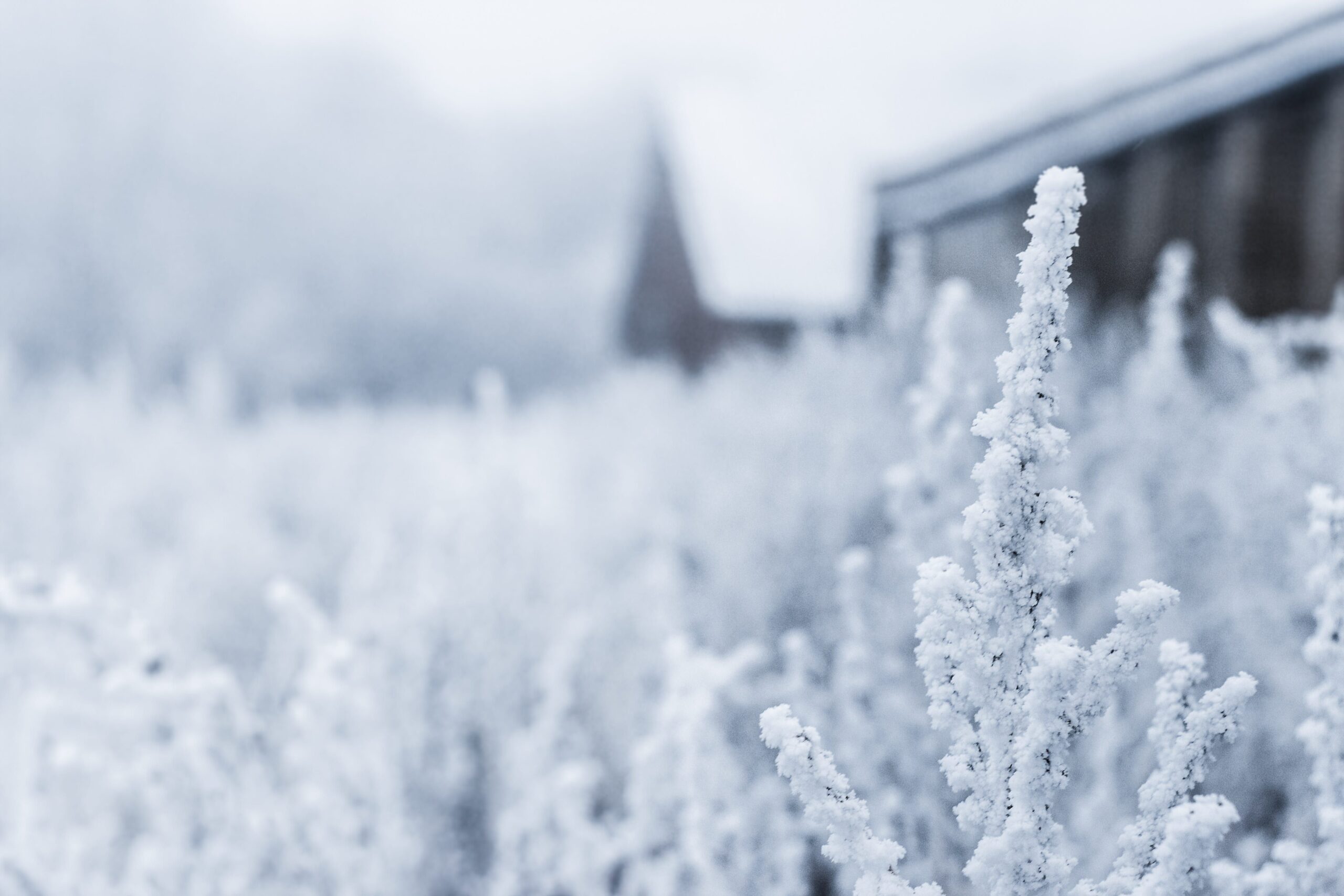 Canadian Real Estate News Headlines (March 12th 2019)