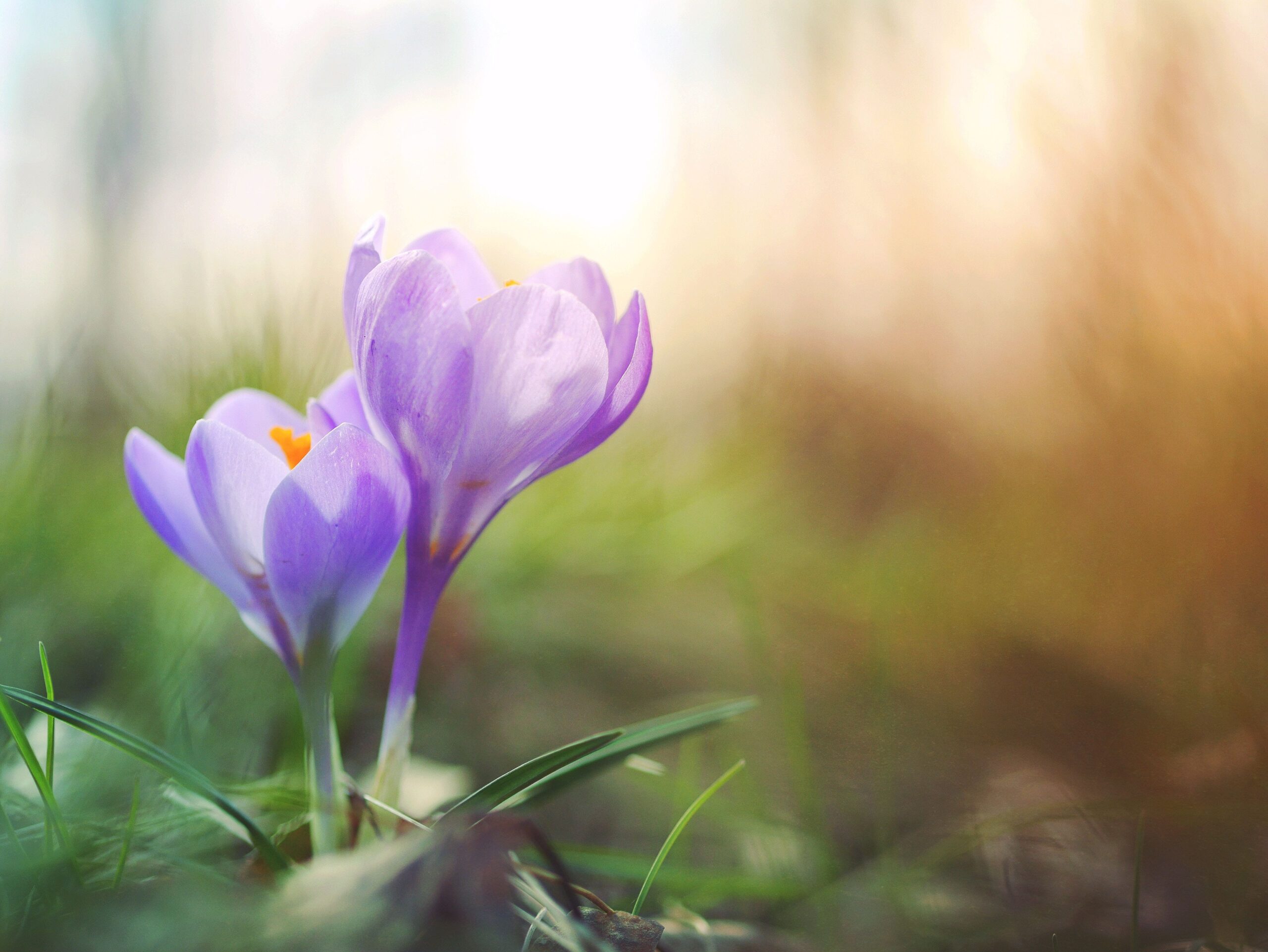 Canadian Real Estate News Headlines (March 19th 2019)