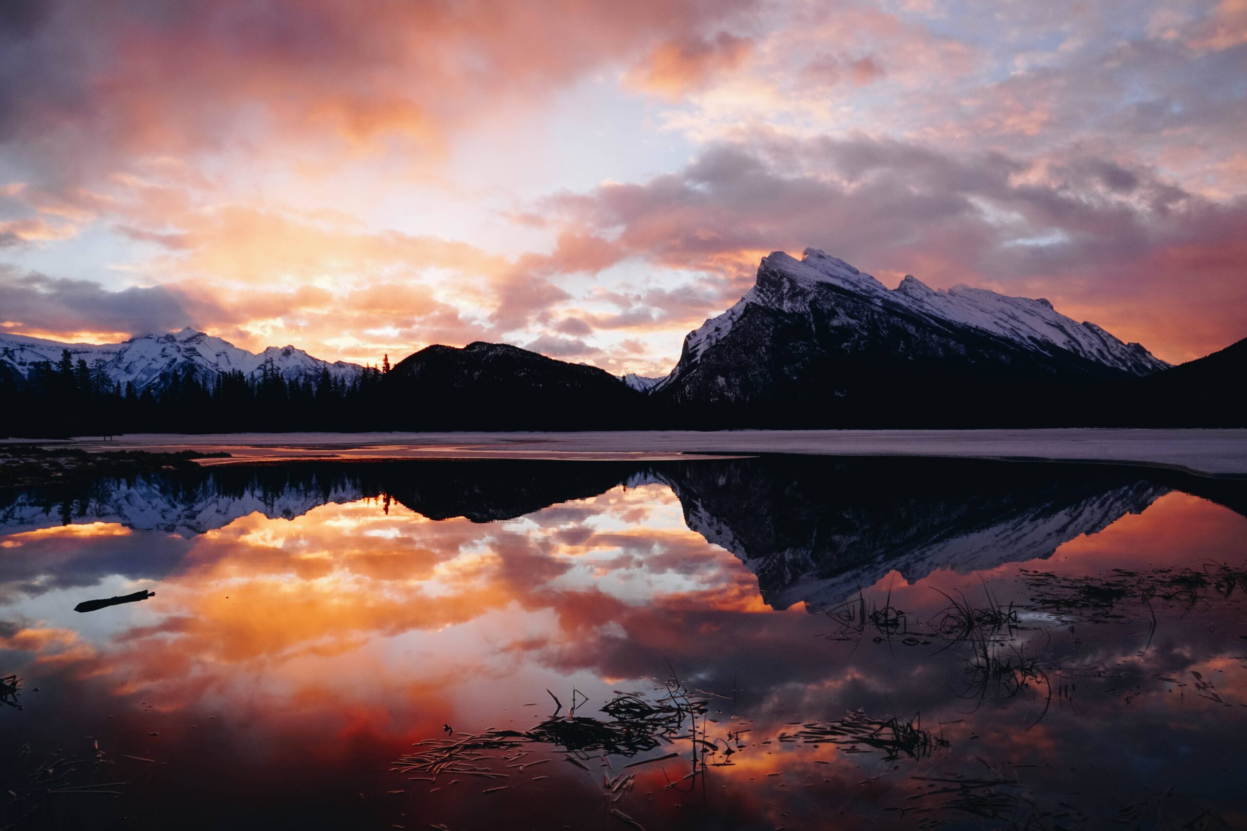 Canadian Real Estate News Headlines (May 24th 2019)
