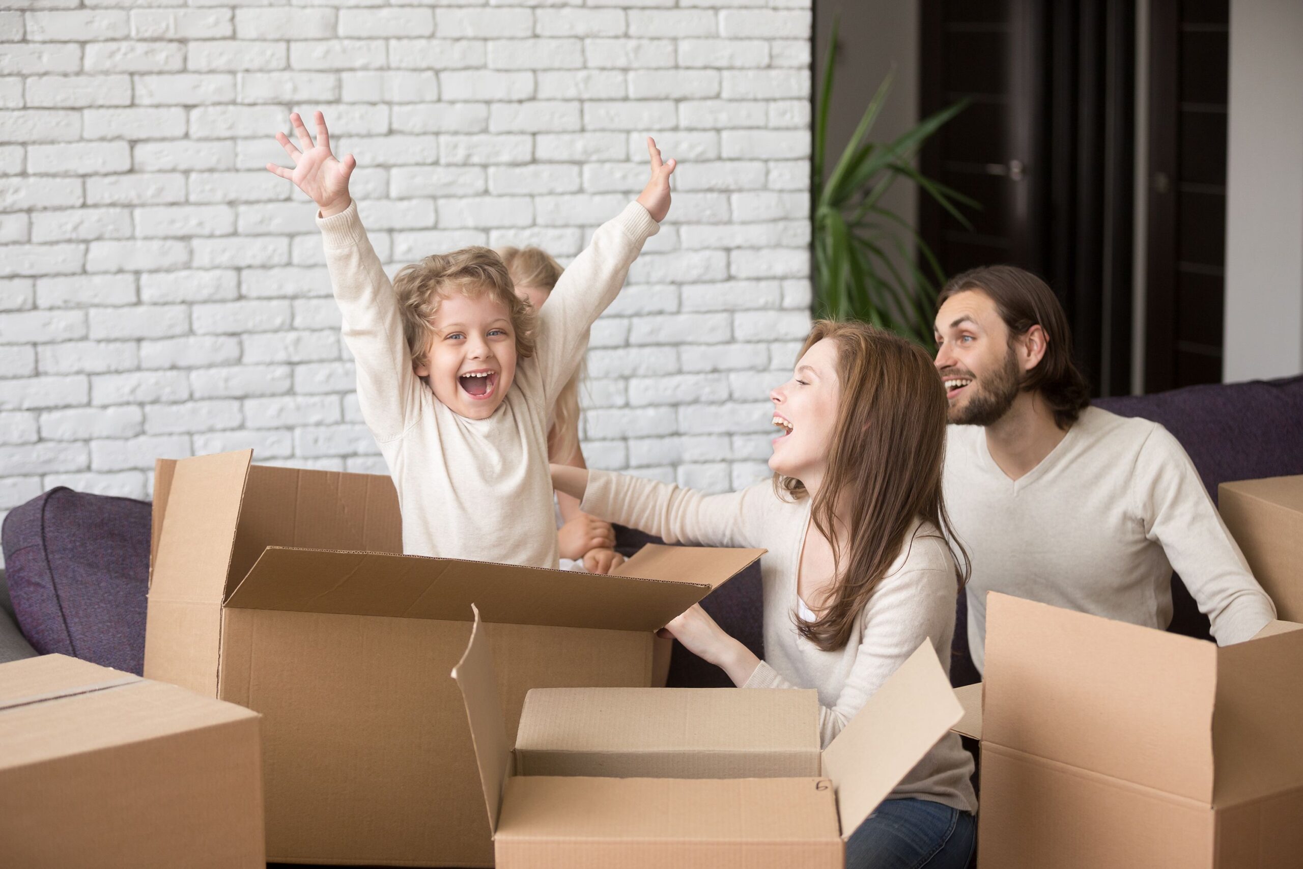 Chaplin Estates Home Sales Statistics for February 2019