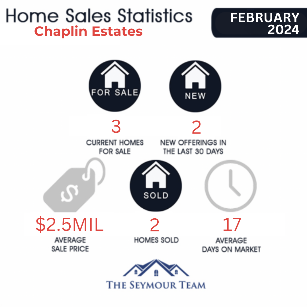 chaplin-estates-home-sales-statistics-for-February-2024