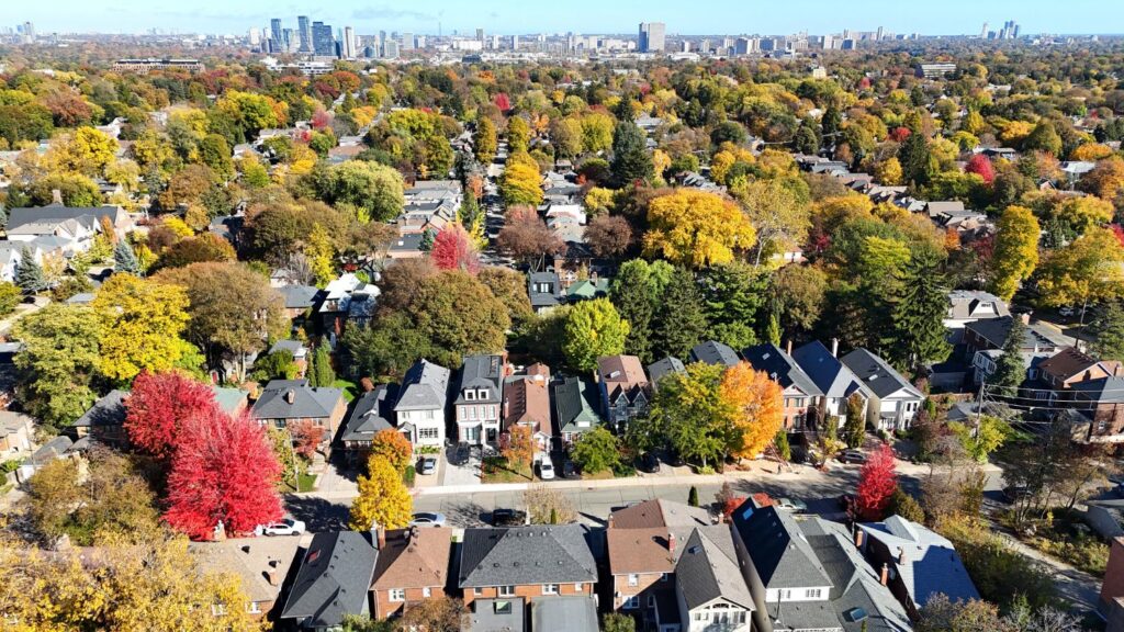 Rows of brick houses under red, orange and yellow fall trees on a Davisville Village street, seen from above
