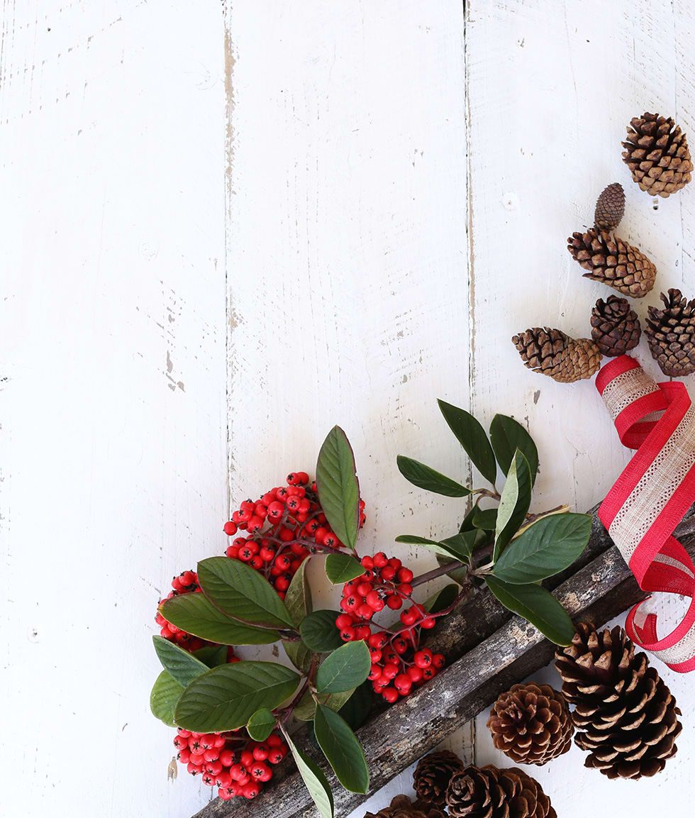 Decorating Tips: How to Stylize Your Home This Holiday Season