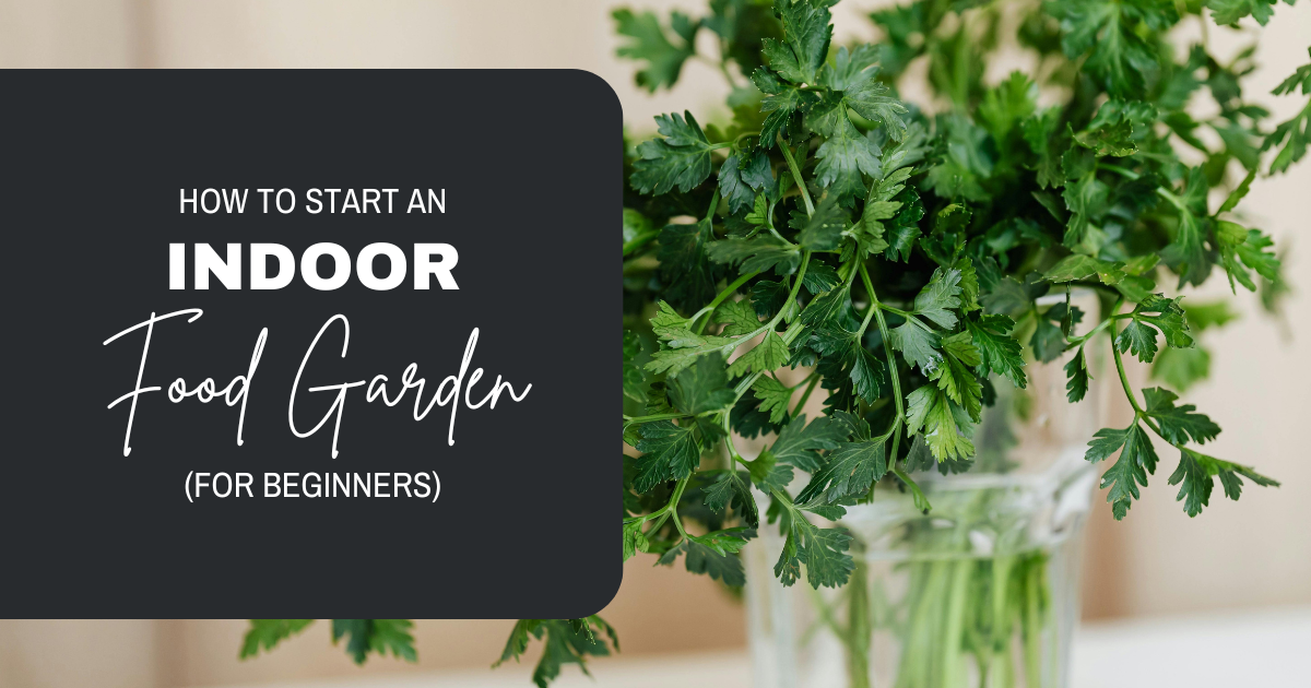 How to Start an Indoor Food Garden (for Beginners)