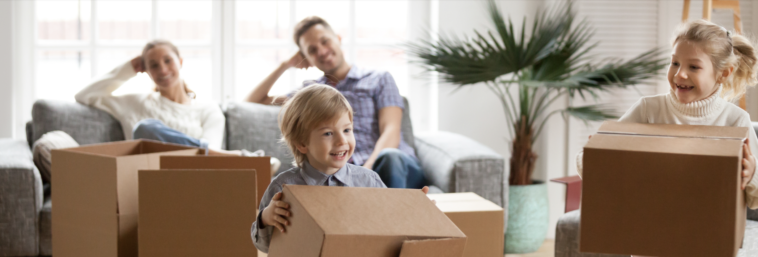 lawrence-park-home-sales-statistics-for-June-2023