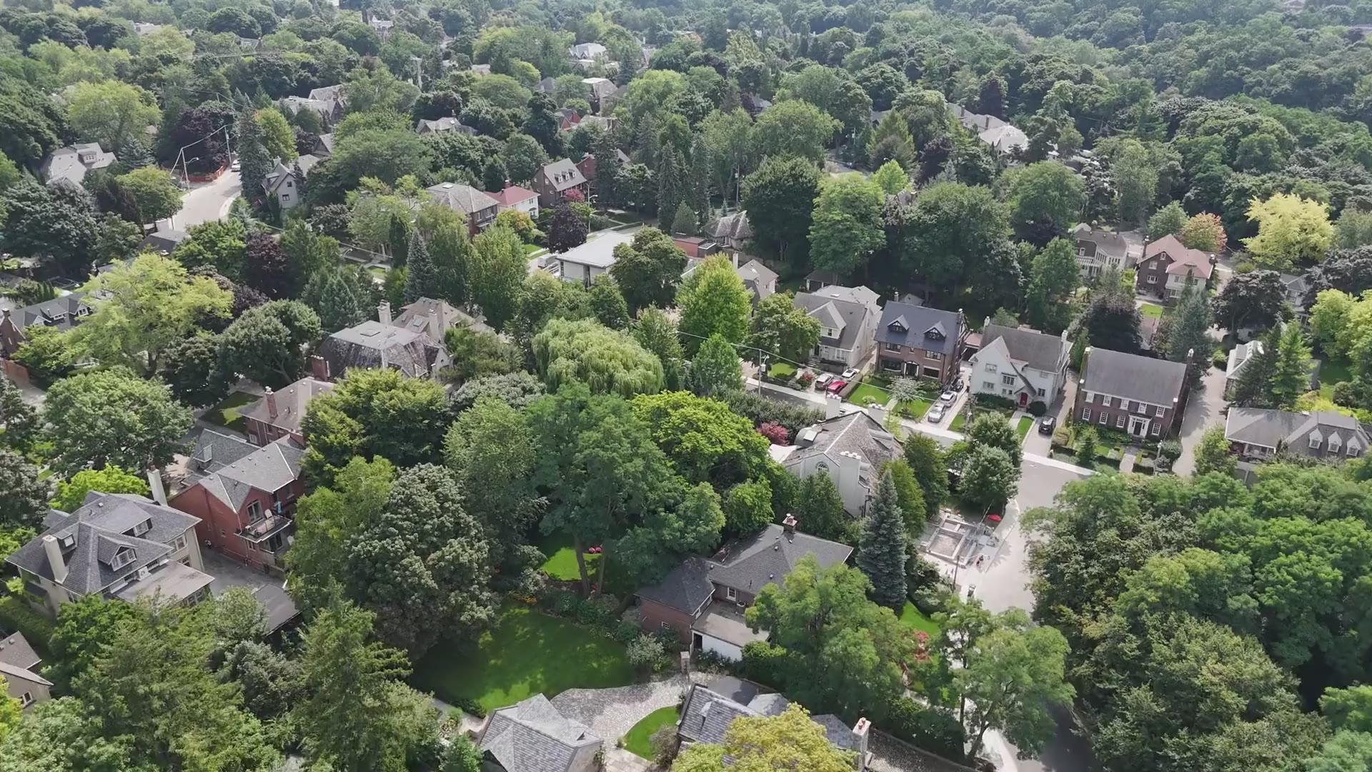 Large detached houses and driveways among tall trees in Lawrence Park, seen from above in summer