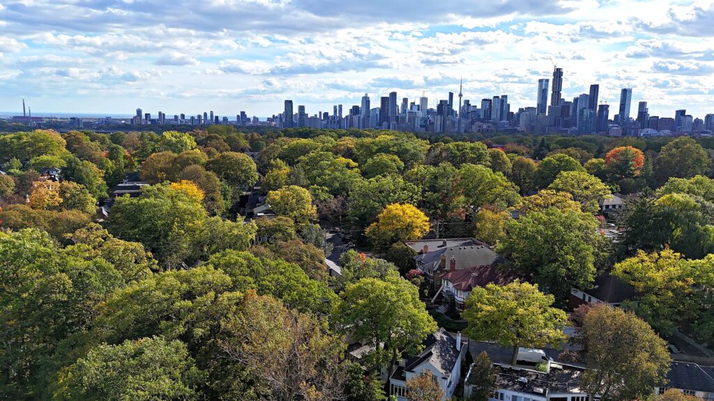 A drone view south over Moore Park homes and fall trees to the downtown Toronto skyline.