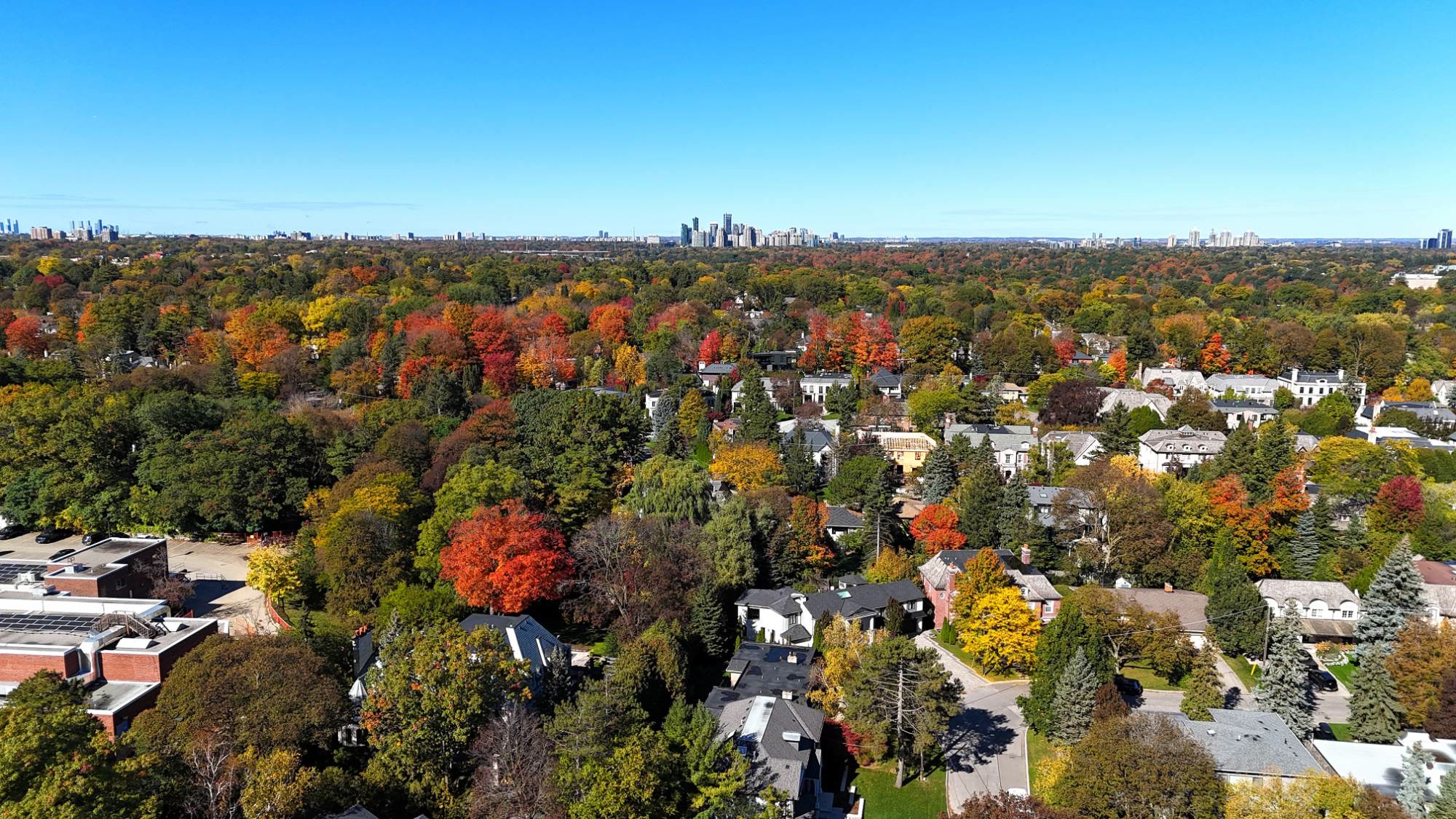 Houses among red and orange fall trees, the city spread out to the north, seen from above