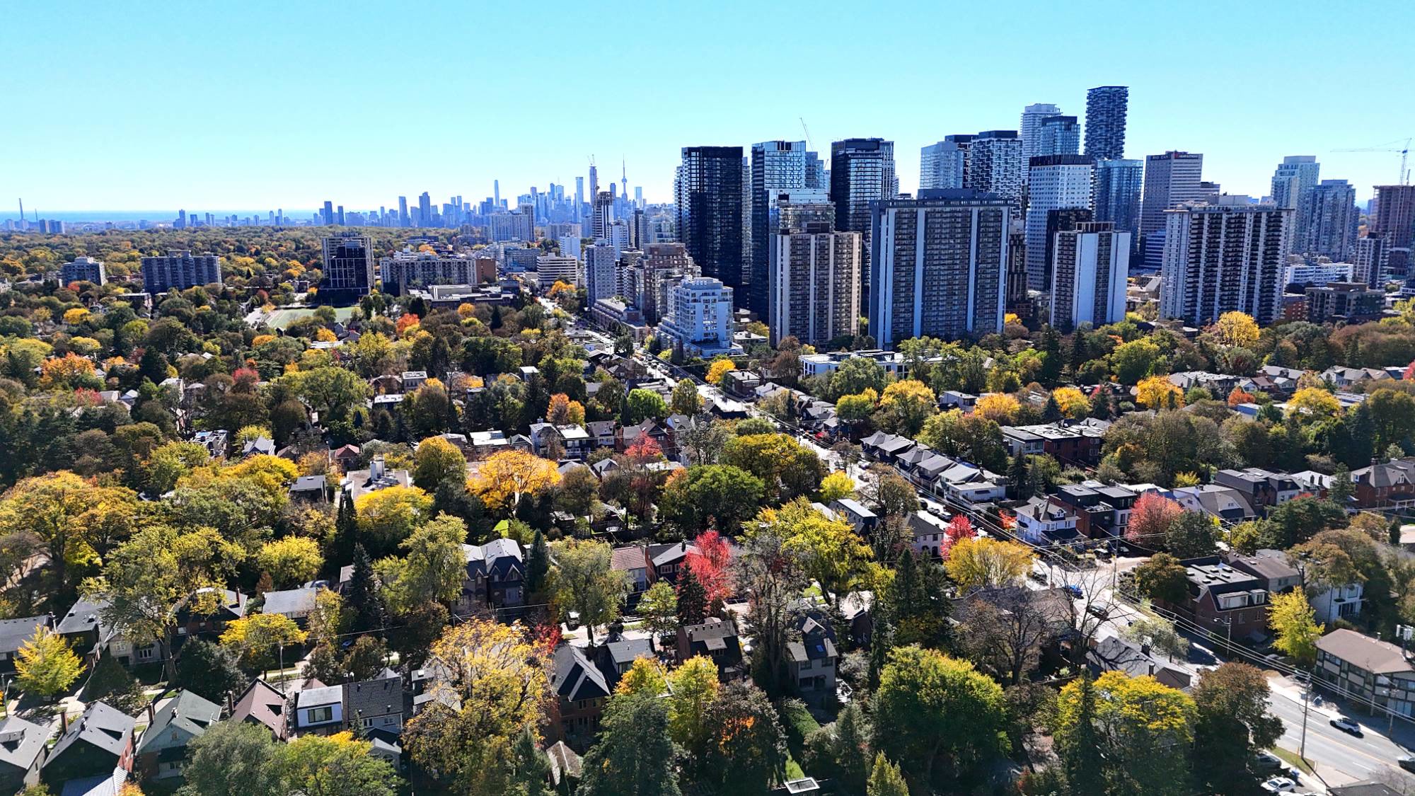 Houses and fall trees on side streets, the Yonge and Eglinton towers and the downtown skyline beyond, seen from above