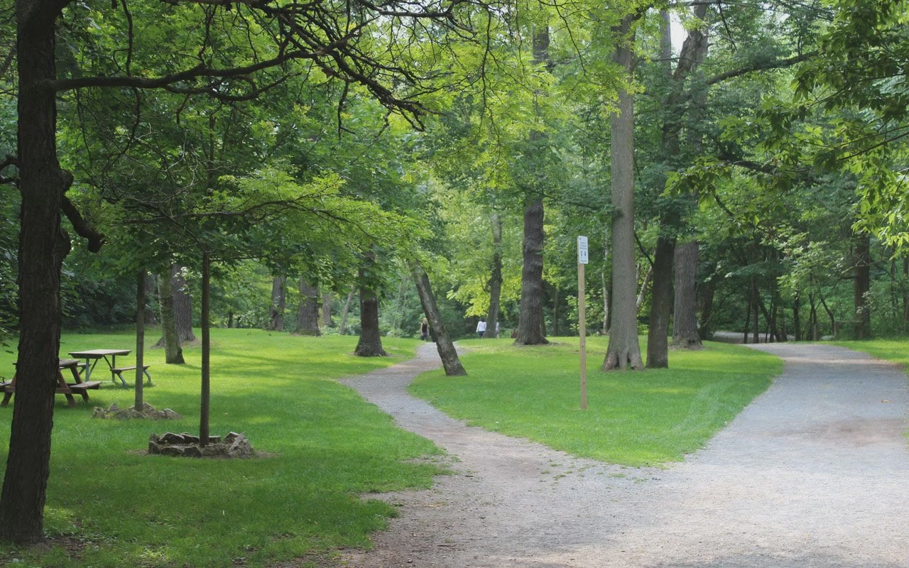 Gravel paths winding between tall trees and lawns in Sherwood Park, with picnic tables on the grass