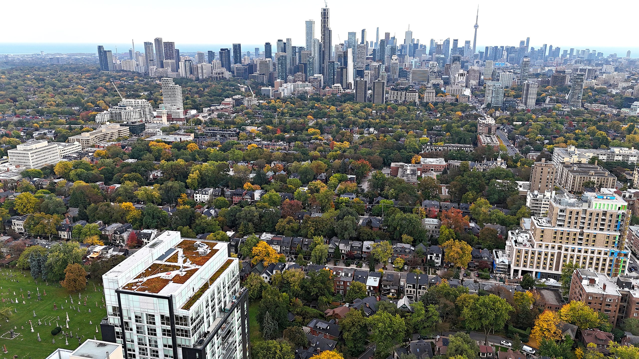 A drone view south from Yonge and St Clair over Deer Park homes and fall trees to the downtown Toronto skyline.